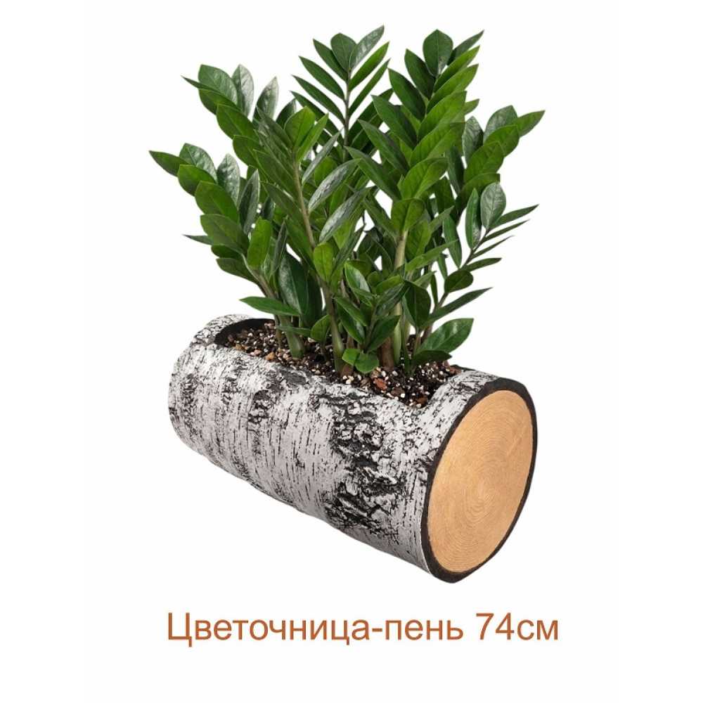 Фото Цветочница-пень "БЕРЕЗА" горизонтальная, 74 см