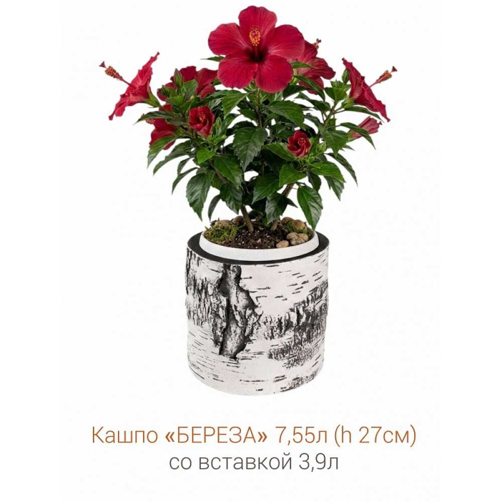 Фото Кашпо-пень "БЕРЕЗА" низкое со вставкой, объем 7.55 л (высота 27 см)