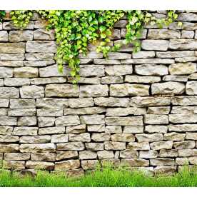 D2-038 Каменная стена, 300*270 см