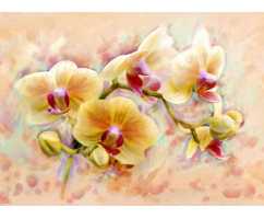 Орхидея Б1-300, 200*147 см