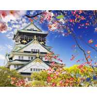 Замок в Осаке Б1-391, 300*238 см