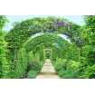 Маленькое фото Зеленые арки D2-097, 400*270 см