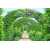 Зеленые арки D2-097, 400*270 см