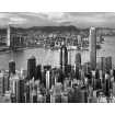 Маленькое фото Гонконг Б1-388, 300*238 см