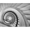 Маленькое фото Винтовая лестница Б1-387, 300*238 см