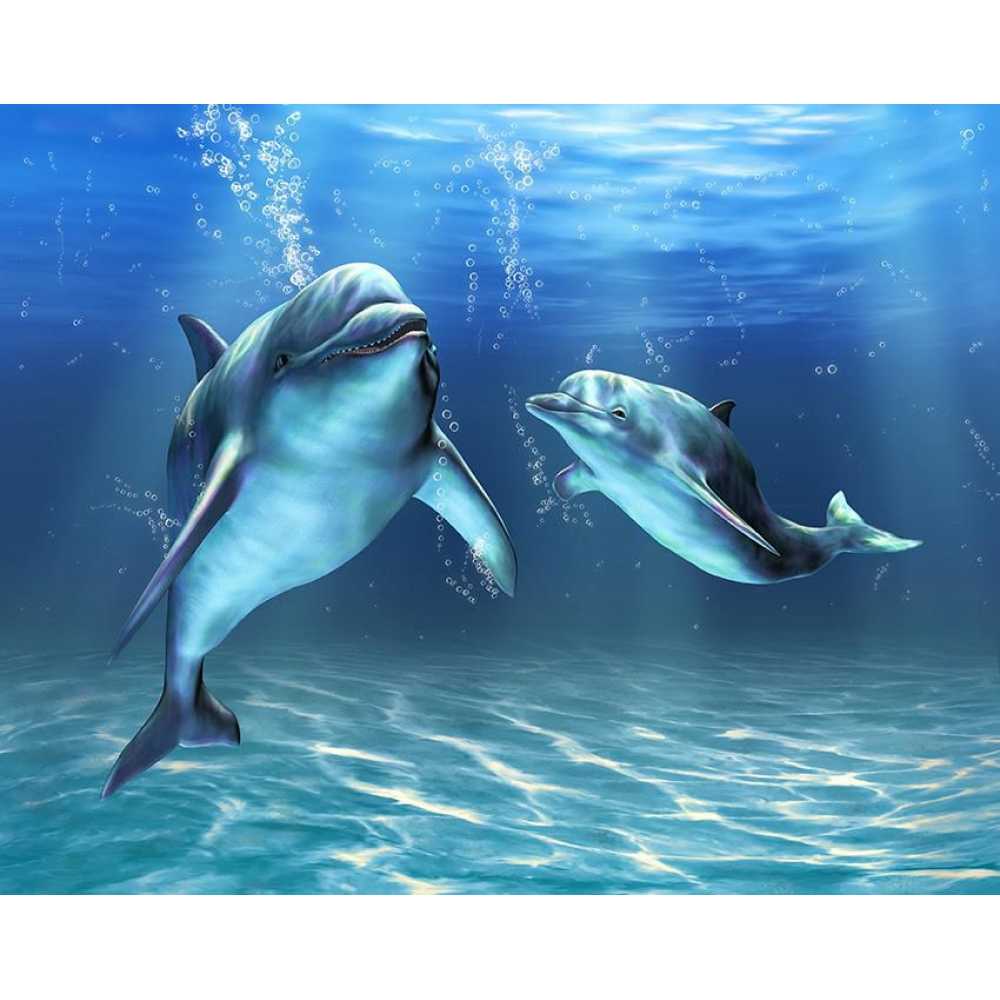 Фото Два дельфина D2-064, 300*238 см