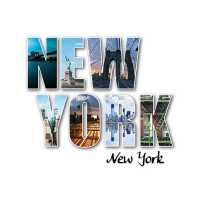Нью-Йорк D2-022, 300*270 см