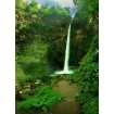 Маленькое фото Тропический водопад Б1-018, 200*270 см