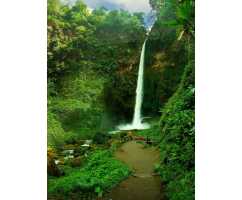 Тропический водопад Б1-018, 200*270 см