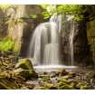 Маленькое фото Водопад в реликтовом лесу Б1-092, 300*270 см