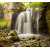 Водопад в реликтовом лесу Б1-092, 300*270 см