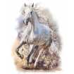 Маленькое фото Белый конь живопись H-034, 200х270