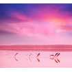Маленькое фото Фламинго на закате Б1-081, 300*270 см