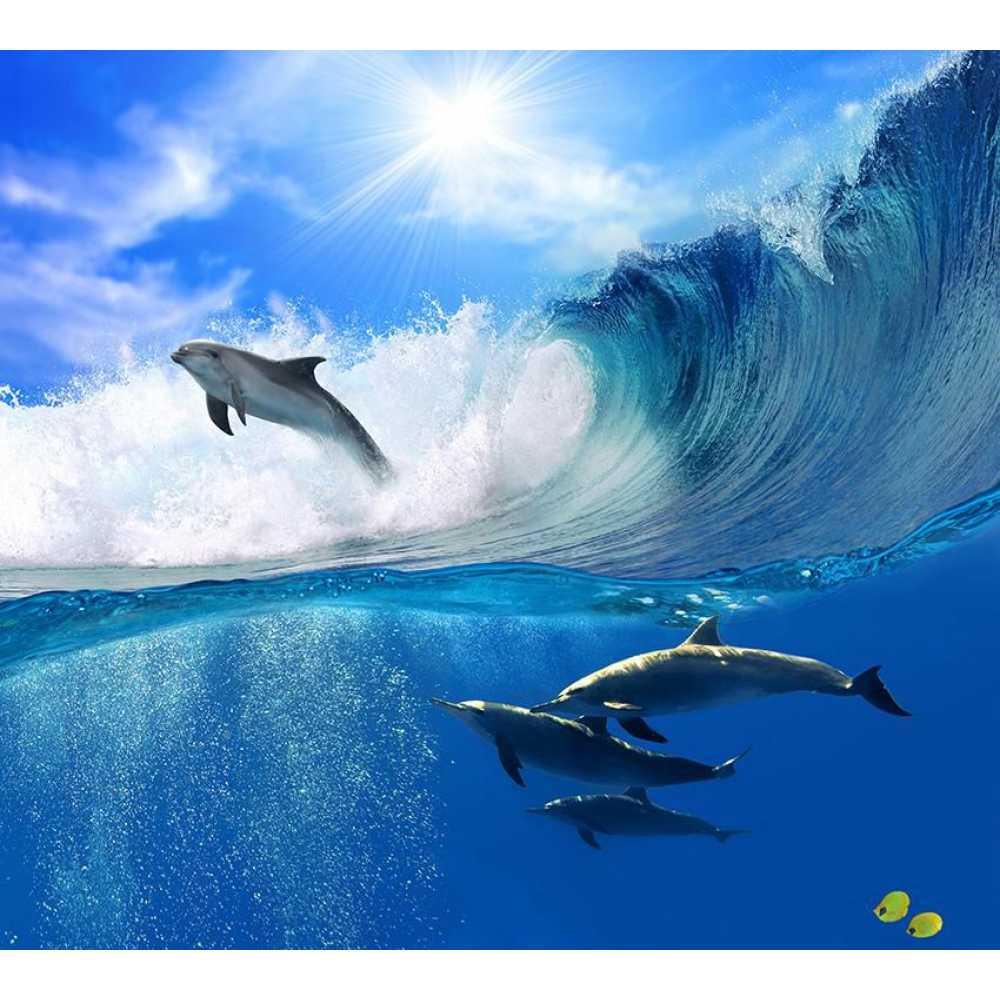 Фото Дельфины на волнах 300*270 см