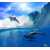 Дельфины на волнах 300*270 см