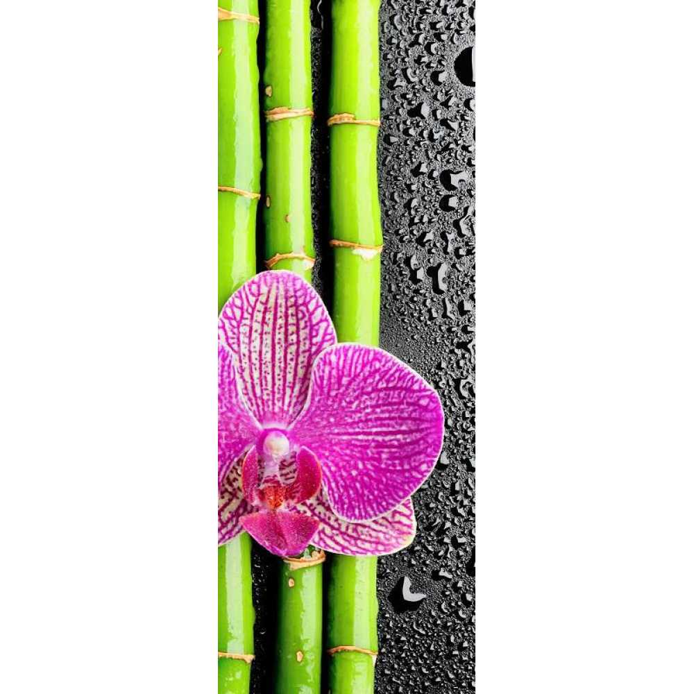 Фото Бамбук и орхидея Б1-292, 100*270 см