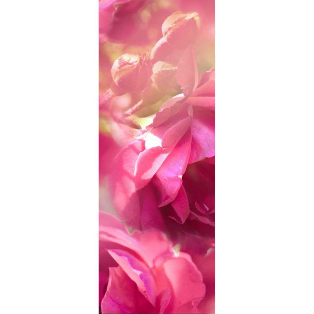 Фото Розовые цветы Б1-396, 100*270 см