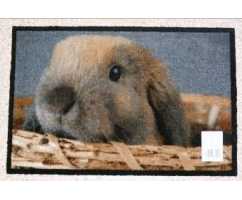 Коврик придверный Deco-UP Кролик (50*75 см)