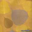 Маленькое фото Листья  <<Прима Дорадо>> обои,  5,5х0,91 м