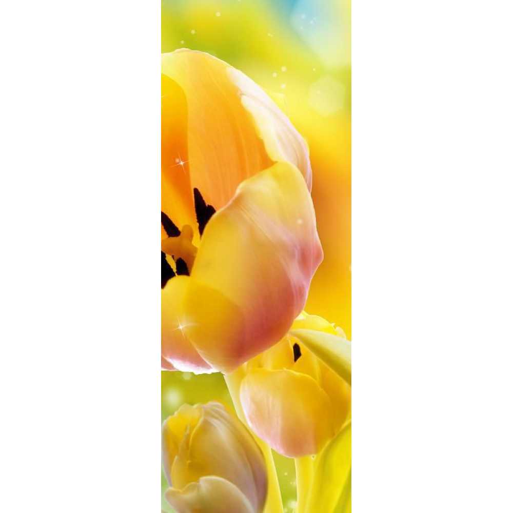 Фото Желтые тюльпаны Б1-287, 100*270 см